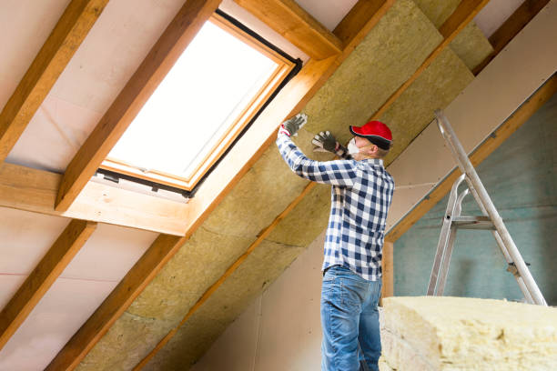 Best Eco-Friendly Insulation Solutions  in Luling, LA