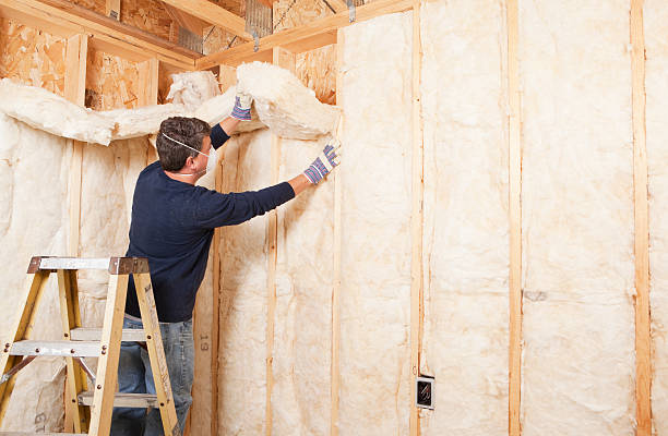 Best Weatherproofing Services  in Luling, LA